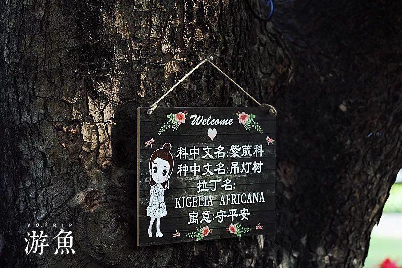 大足城管支队开展“牛皮癣”小广告专项 整治行动