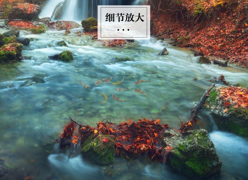 深入挖掘这是什么电影啊?,探寻新鲜有趣话题 - 红迪网